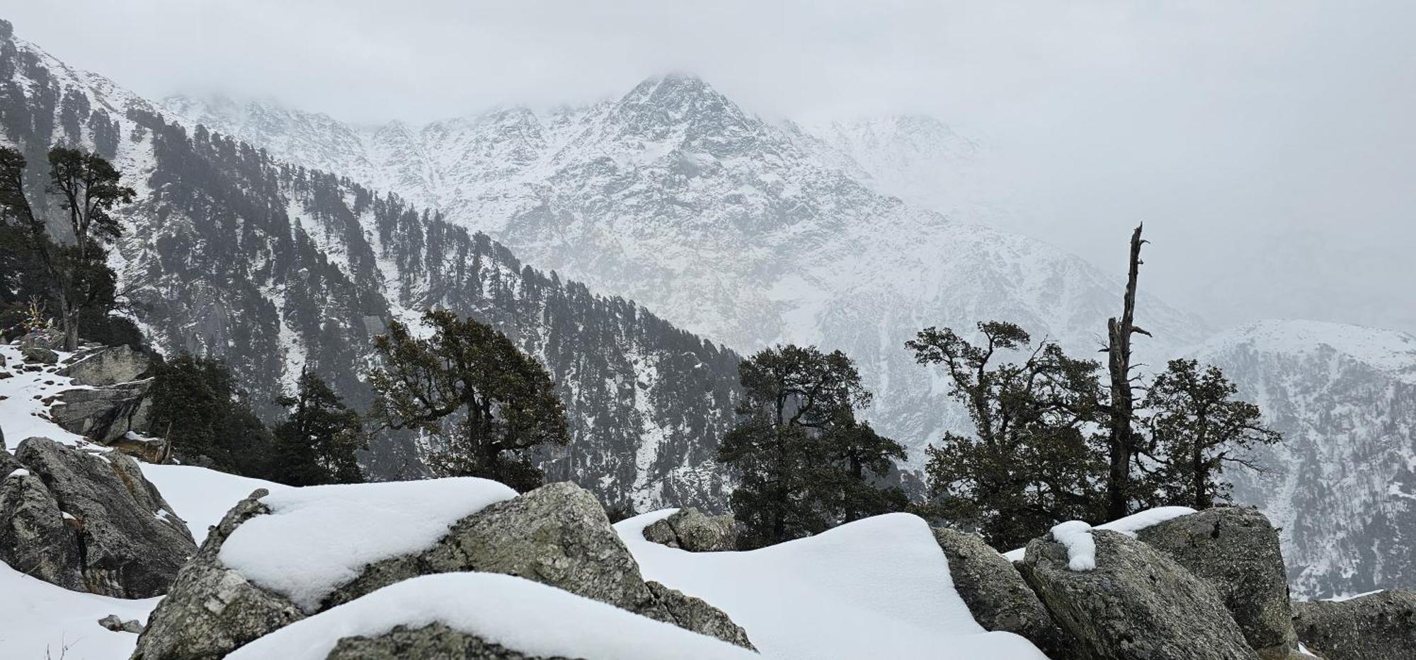 Hotel Starwud Kotagge McLeod Ganj Luaran gambar